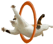 cat-through-hoop-word3.gif (13770 bytes)