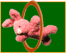 flying-bunny-green-back.gif (12724 bytes)
